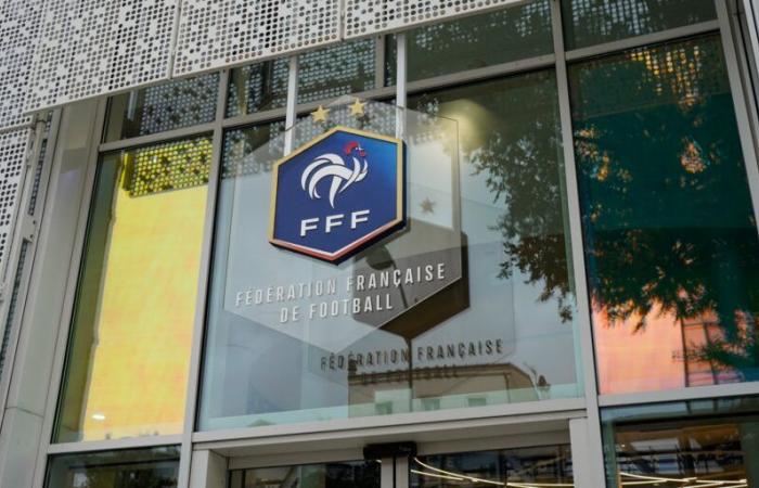 des militants pro-palestiniens occupent le siège de la FFF pour tenter d’annuler le match