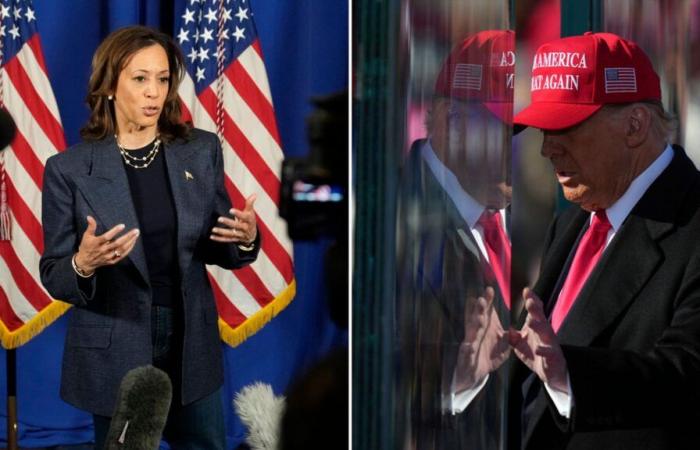 Trump et Harris préparent leur argumentaire final devant les électeurs américains après avoir combattu les États du champ de bataille