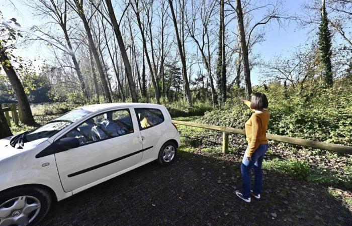 Vidéo. Sous-vêtements usés, préservatifs et mouchoirs, violence, cette Lot-et-Garonnaise vit avec le « Bois de Boulogne » sous ses fenêtres