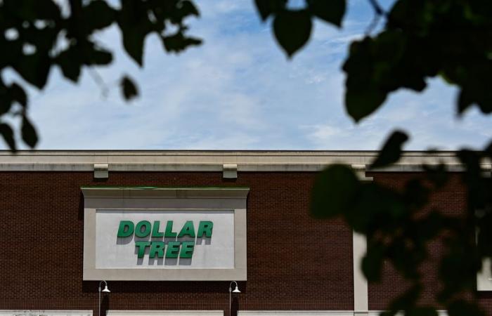 Le PDG de Dollar Tree, Rick Dreiling, démissionne