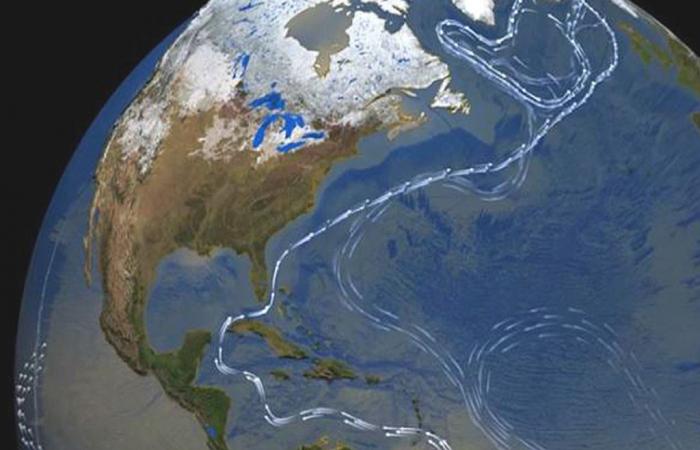 l’affaiblissement du courant de l’océan Atlantique pourrait conduire à l’effondrement de la forêt amazonienne !