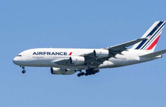 Air France décide de ne plus survoler la zone de la mer Rouge