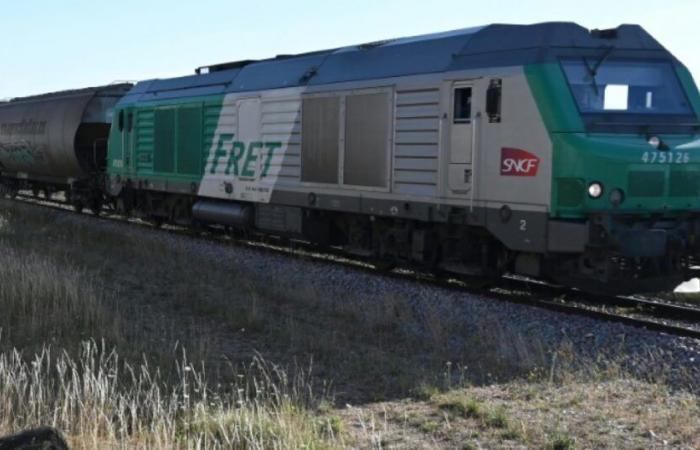 Fret SNCF va disparaître malgré la colère des syndicats : Actualités