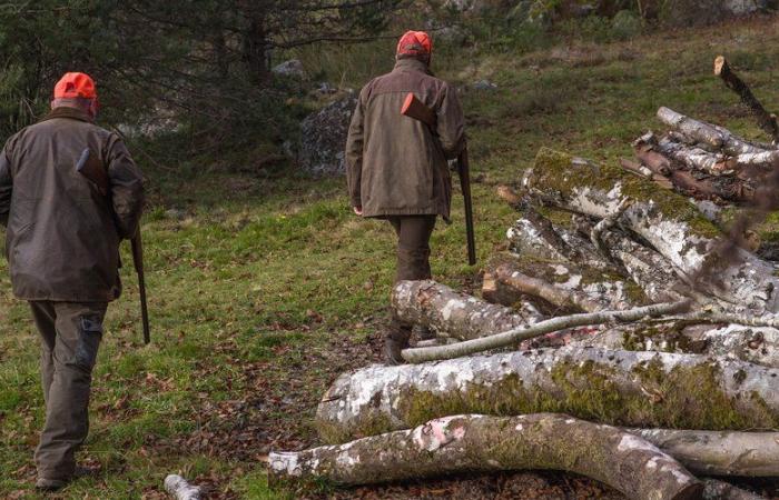 Blessé par balle, un chasseur décède en pleine chasse, le parquet n’exclut aucune piste