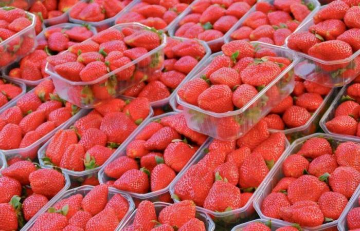 Pourquoi Intermarché ne proposera pas de fraises et de cerises à Noël