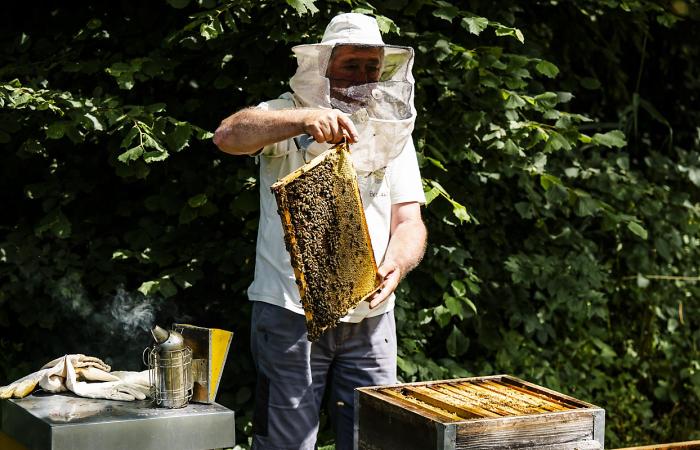 Des scientifiques suisses utiliseront l’IA pour améliorer les prévisions météorologiques et climatiques