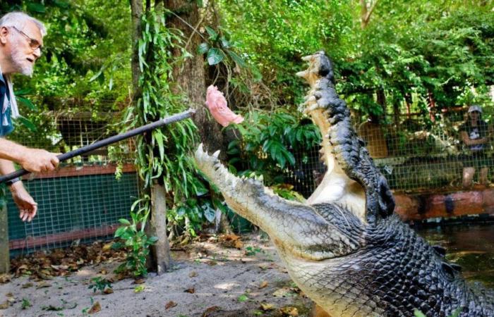 Cassius, le plus grand crocodile du monde, décède à 120 ans