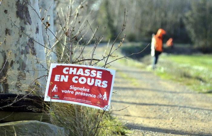 touché par une balle perdue d’un chasseur de 82 ans, un homme amputé d’une jambe