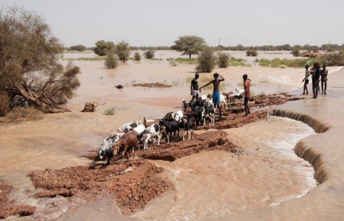 Au Sénégal, les inondations déplacent plus de 56 000 personnes dans l’est du pays