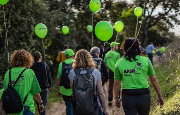 Conquêtes contre le syndrome de Rett.