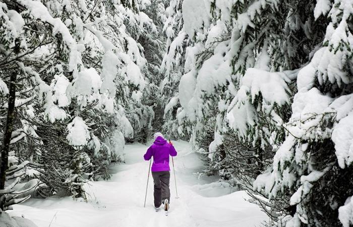 10 conseils pour échapper au blues de novembre