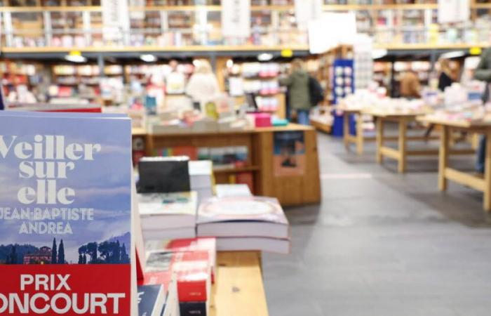 Pourquoi c’est important. Kamel Daoud, Gaël Faye, Sandrine Collette… le prix Goncourt décerné ce lundi