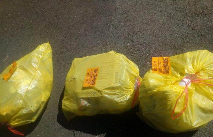 de faux sacs jaunes apparaissent dans cette commune de Vendée