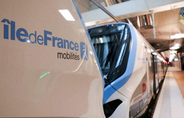 Une bagarre à la hache éclate sur le RER parisien : quatre personnes blessées