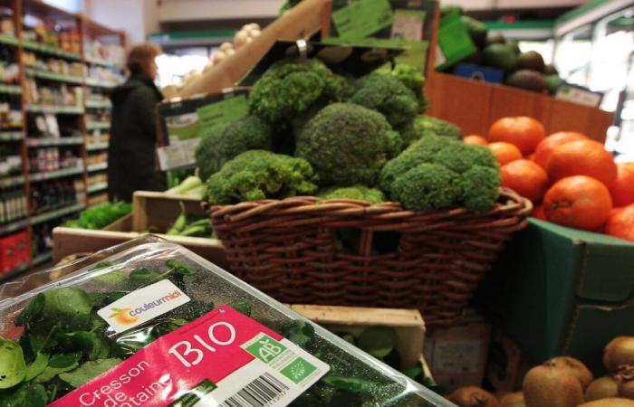 en Lot-et-Garonne, l’agriculture biologique garde les pieds sur terre