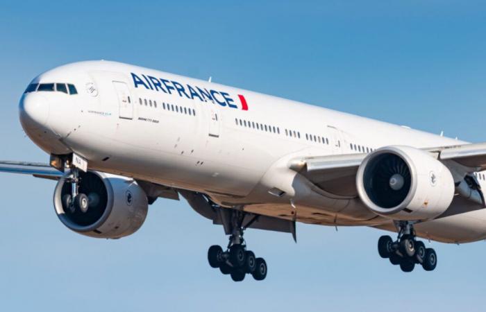 Air France suspend certains vols, l’équipage repère un objet lumineux