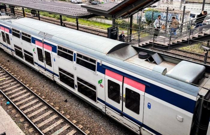 Quatre personnes blessées, dont deux grièvement, à coups de hache, dans le RER E à la gare d’Ozoir-la-Ferrière