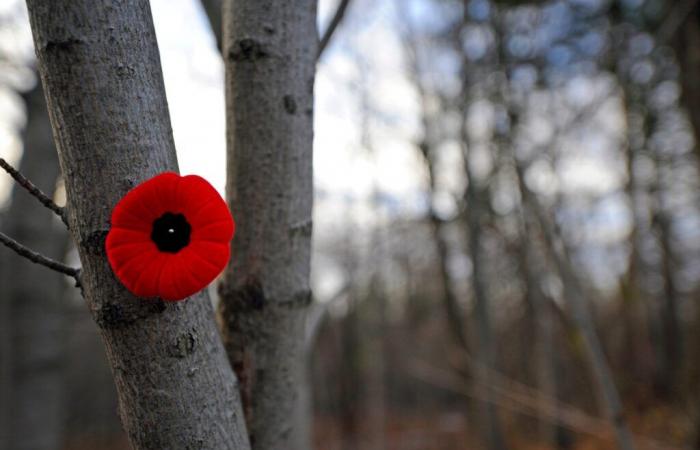 Le Jour du Souvenir, une commémoration à ne jamais oublier