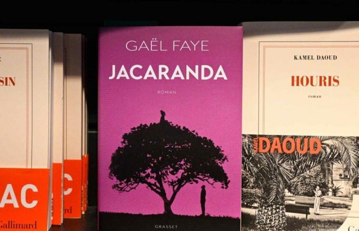 Le prix Goncourt décerné à Kamel Daoud, Gaël Faye obtient le Renaudot