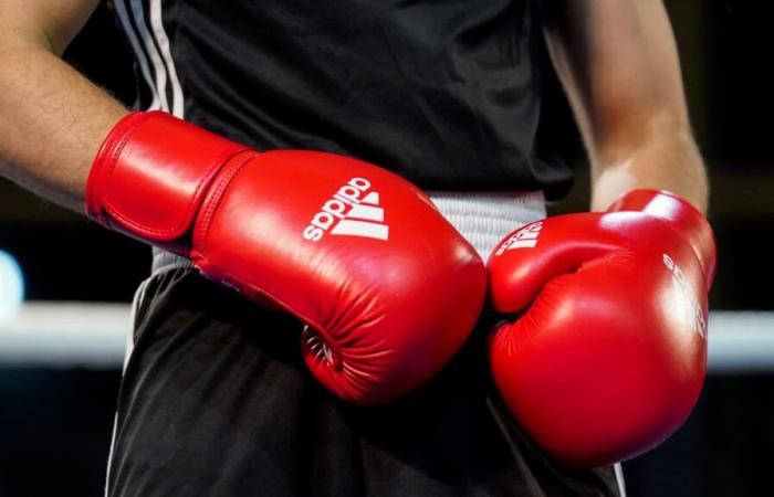 La Fédération française de boxe prend une décision forte pour « garantir la place » de ses boxeurs aux JO