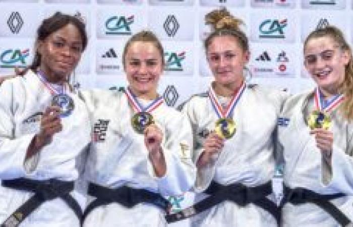 La Seine-Saint-Denis au sommet du judo français