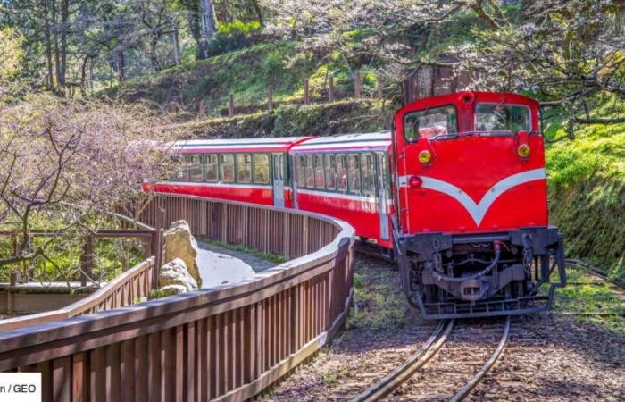 à Taiwan, un train pittoresque pour visiter le passé