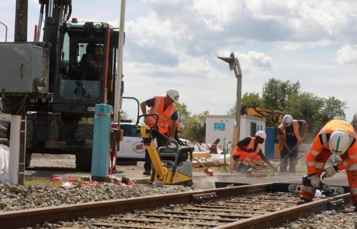 bientôt un retour des trains sur la ligne ferroviaire de fret entre Laluque et Tartas ?