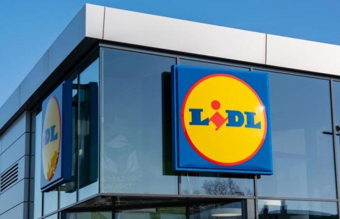 “Je suis agent d’entretien chez Lidl, voici combien je gagne”