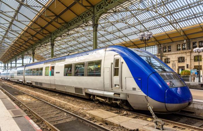 Indre-et-Loire. Trains annulés entre Tours et Loches pour cause de travaux