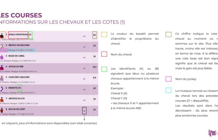 Participez au casting du LFM et chantez sur scène avec « L’Héritage Goldman » !