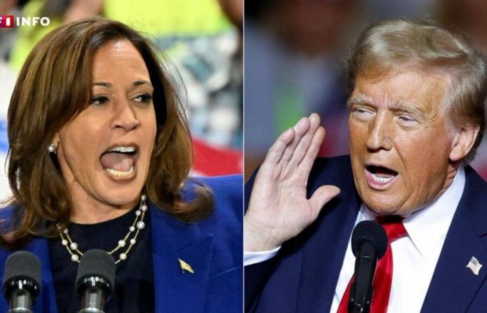 Harris et Trump entrent dans la dernière ligne droite