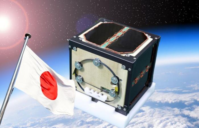 Le Japon réalise un exploit mondial avec le premier satellite en bois au monde, aussi gros qu’une tasse de café mais incroyablement résistant aux conditions spatiales