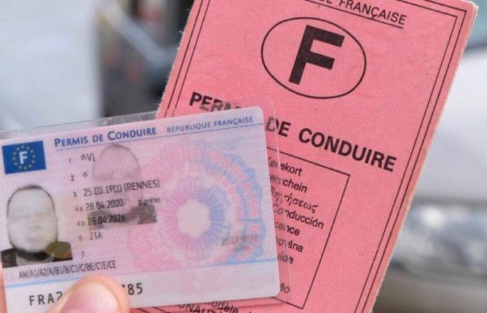 Le permis papier n’est plus valable depuis le 1er novembre