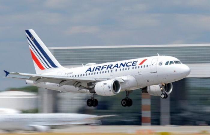 Air France suspend son vol au-dessus de la mer Rouge après le signalement d’un « objet lumineux à haute altitude » : Actualités