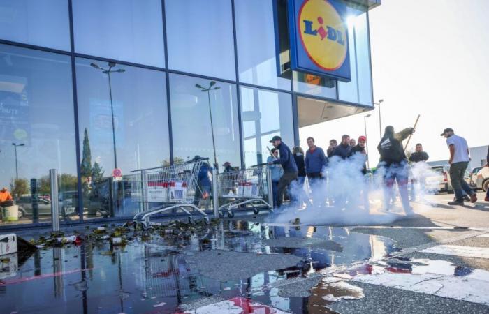 Les vignerons du Vaucluse cassent des bouteilles face aux prix cassés de Lidl