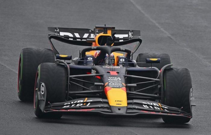 Le GP du Brésil pour Max Verstappen