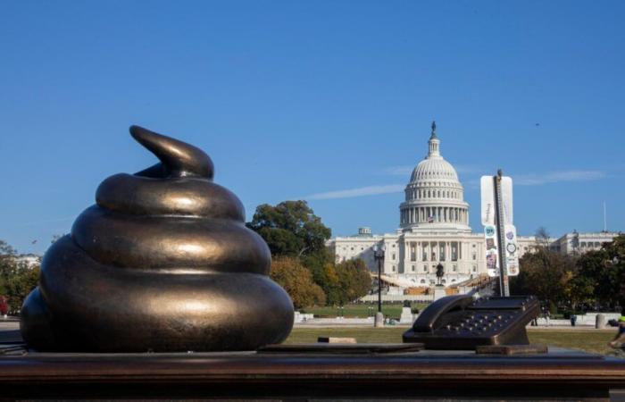 Un jour avant les élections américaines, des mini caca de bronze apparaissent devant le Capitole