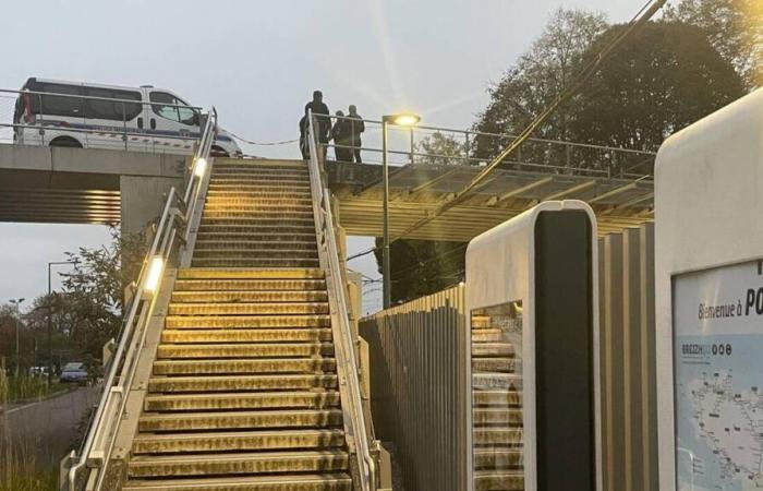 Coups de couteau mortels à Rennes. Un jeune de 18 ans s’est rendu à la police