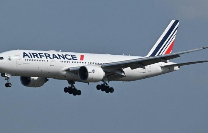 Air France suspend ses vols au-dessus de la zone de la mer Rouge par mesure de précaution, ce que l’on sait