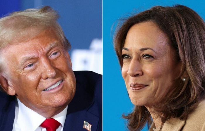 Donald Trump et Kamala Harris au coude à coude… que disent les derniers sondages à 24 heures du scrutin ?