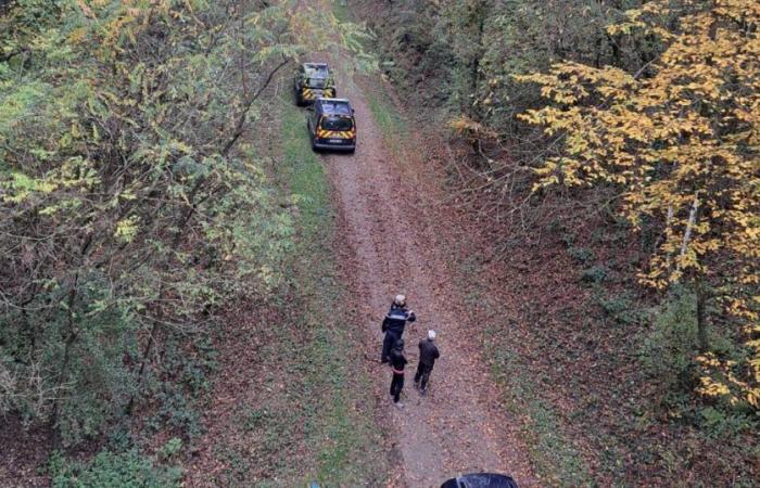 Moselle. Le corps d’un enseignant retrouvé sans vie lors d’une chasse à la chasse à Blies-Ébersing