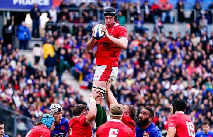 Adam Beard, première taille attendue