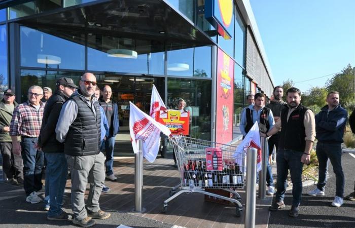 “Un appel de détresse car les prix de vente sont trop bas” pour les vignerons du Gard qui ont manifesté chez Lidl à Bagnols-sur-Cèze