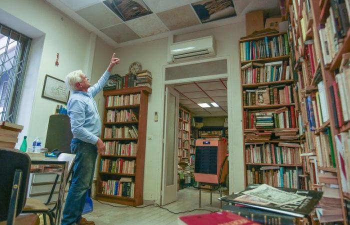 “J’ai trouvé 800 livres flottant dans 5 centimètres d’eau”, s’inquiète ce libraire de Perpignan après des intempéries