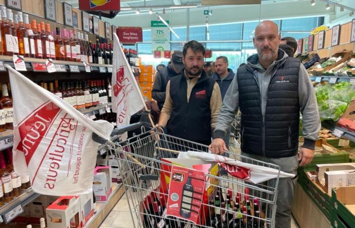 dans un supermarché, des vignerons du Gard dénoncent la dévaluation de leurs produits – Actualités