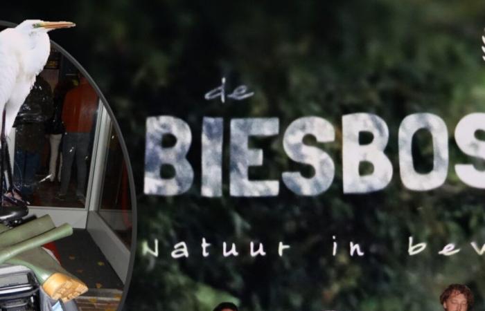 Avant-première du documentaire « De Biesbosch, Nature in Motion » au cinéma DeWitt