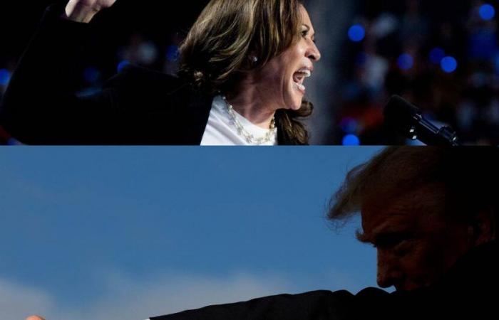 Harris ou Trump, J-1 avant une élection cruciale pour les Etats-Unis et le monde – Libération