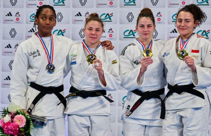 La Seine-Saint-Denis au sommet du judo français