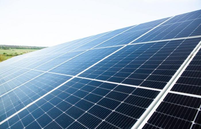 Panneaux photovoltaïques au coeur des vignes à Rodilhan