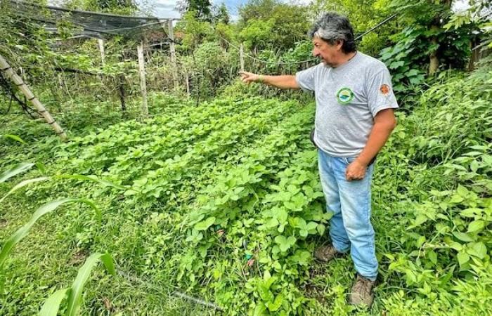 Biodiversité : que faire des 70 % de territoires non protégés ?